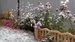 Қазақстандықтар алғашқы қардың видеоларын жариялап жатыр