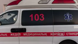 Өткен тәулікте Қазақстанда қанша адамнан пневмония анықталды?