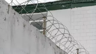 ІІМ басшылардың колонияда ішімдік ішуі туралы ақпаратты тексерді