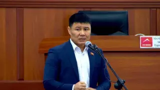 Антисептикті қолданудың "авторлық" тәсілін көрсеткен қырғызстандық депутат мемге айналды