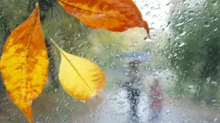 Алдағы күндері ауа райы қандай болады?