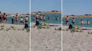 Скрин видео
