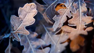 Боран және көктайғақ. Қазақстанда демалыс күндері ауа райы қандай болады?