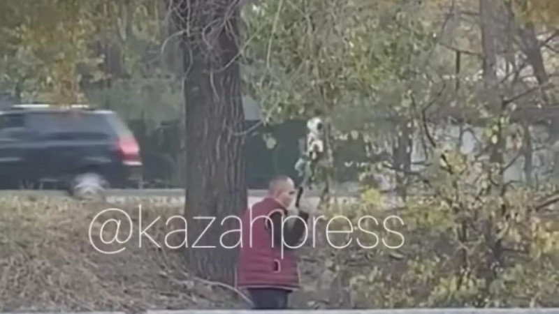Скрин видео