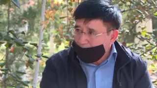 Түркістан облысында экс-әкім 150 гектар жерді иемденді деген күдікке ілінді - БАҚ