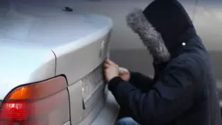 Алматы полициясы көлік нөмірін ұрлау схемасын анықтады