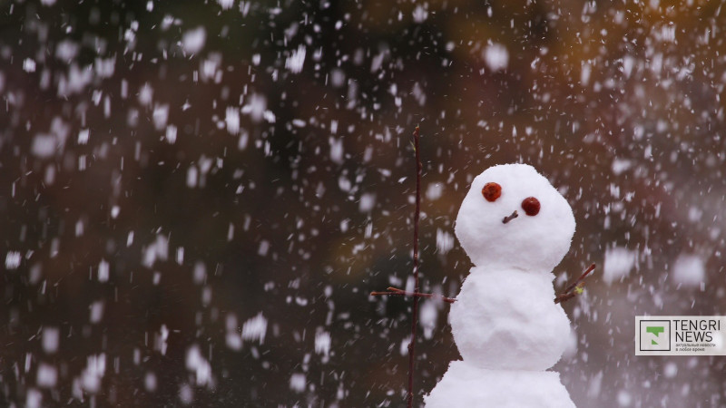 Фото Tengrinews.kz