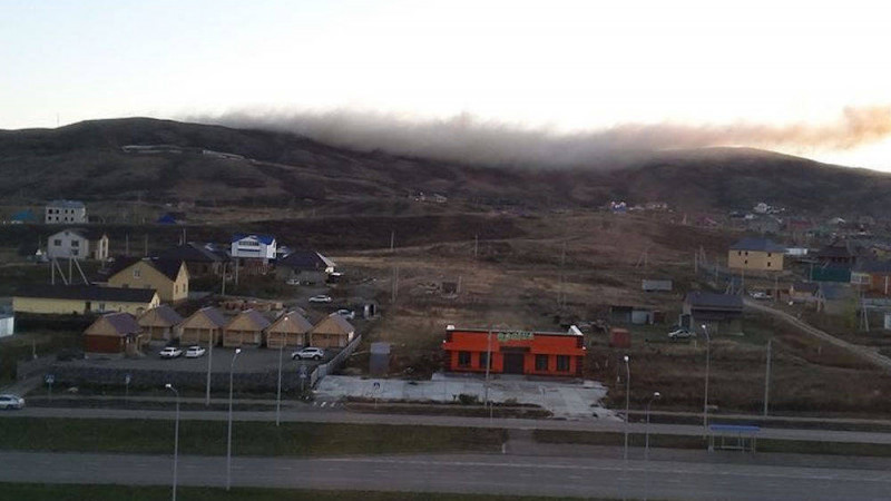 Фото: Instagram/osa_uka_vko