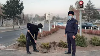 Сындырған және лақтырып жіберген. Алматы облысында көшет ұрлаған ер адам өз әрекетін түсіндірді