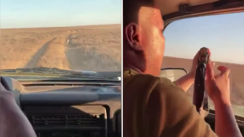 Видеодан алынған кадр