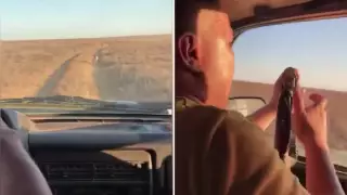 Қазнетте қасқырды аяусыз өлтірген сәт түскен видео жарияланды