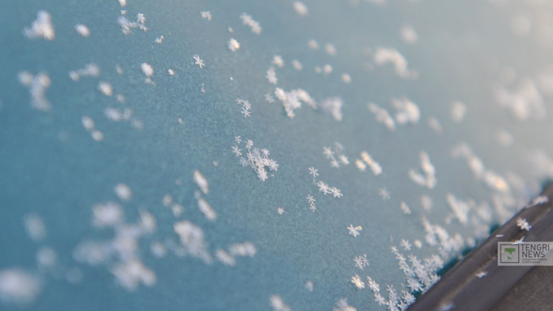 ©  Tengrinews.kz/Тұрар Қазанғапов