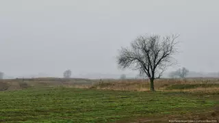 Қазақстанның сегіз облысында боран соғып, тұман түседі