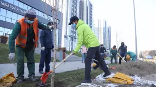 Алматы орталығында журналистер аллеясы пайда болды