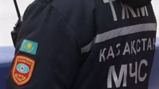 ТЖМ-де төрт комитет құрылды