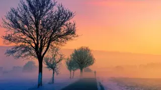 Алдағы күндері ауа райы қандай болады?