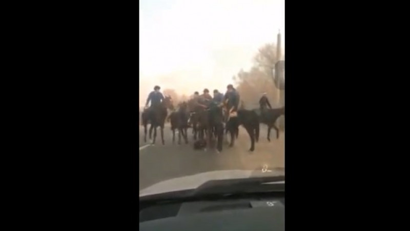 Видеодан алынған кадр