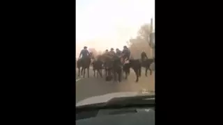 Алматы облысында ер адам карантин кезінде сүндет той жасап, көкпар берген