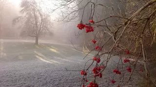 Қарашада ауа райы қандай болады?