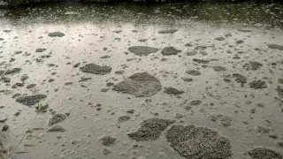 Атырауда мұнай өнімдері суға ағып кетті