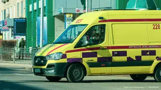 Кейінгі тәулікте қанша адамнан пневмония анықталды?