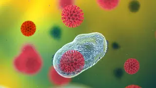 Коронавирустың жаңа қауіпті мутациясы анықталды