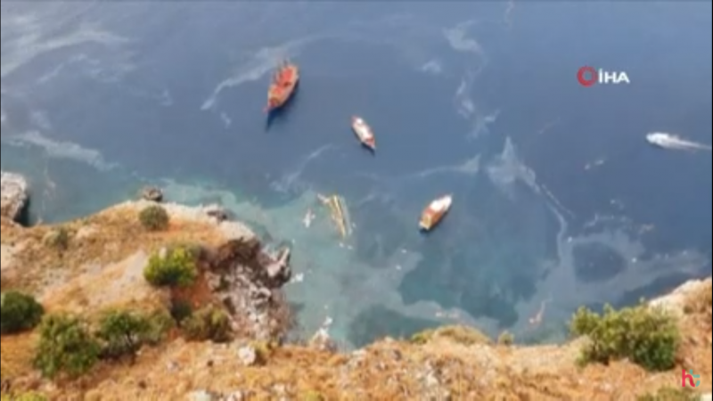 Видеодан алынған кадр