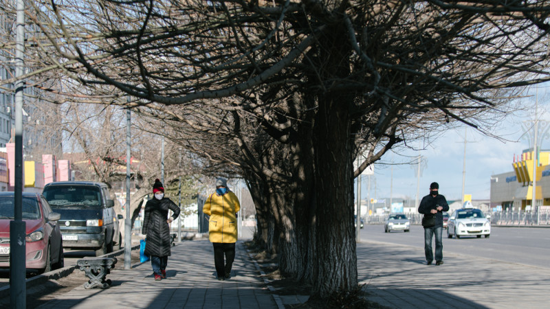 Сурет: Тұрар Қазанғапов ©/TENGRINEWS