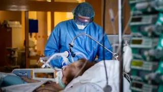 Кейінгі тәулікте қанша адамнан пневмония анықталды?