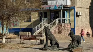 Сәтбаевта қаңғыбас иттер 6 жасар қызды талап тастады