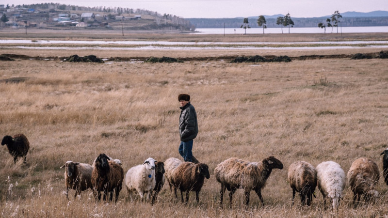 © Тұрар Қазанғапов