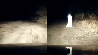 Видео кадры