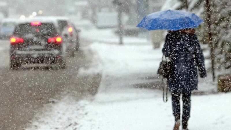 © kostroma.moydom.ru