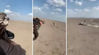 "Арабтардың қарақұйрықтарды қырып салғаны" туралы видеоның қайда түсірілгені анықталды