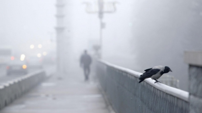 © photo.bymedia.net