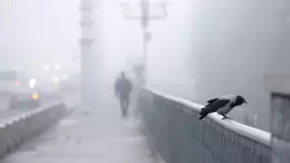 Еліміздің бірнеше өңірінде тұман түсіп, боран соғады