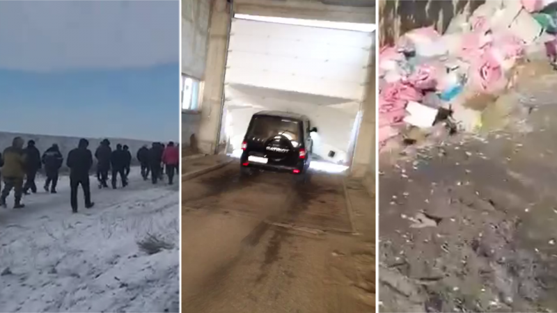 Видео скриншоттары