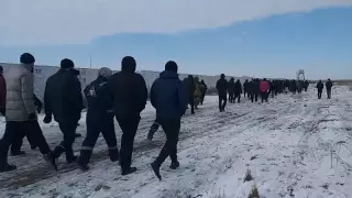 Шошқа фермасындағы дау: Ақтөбе облысының әкімі жағдайға қатысты пікір білдірді