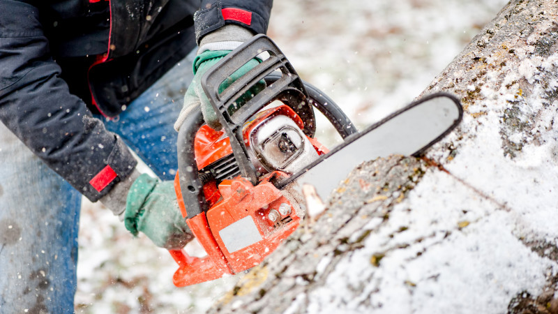 © elements.envato.com