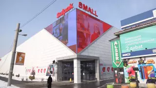 Алматыда заңсыз оталған ағаштар: Sulpak өкілдері мәлімдеме жасады