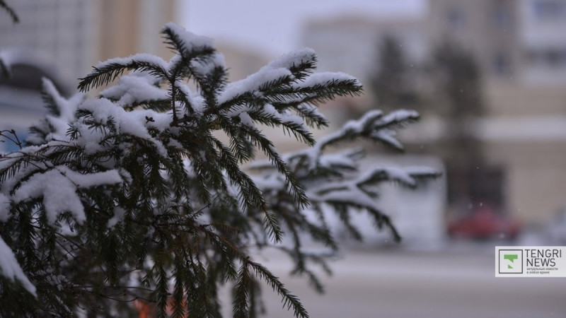 © Тұрар Қазанғапов