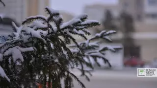 Алдағы күндері ауа райы қандай болады?