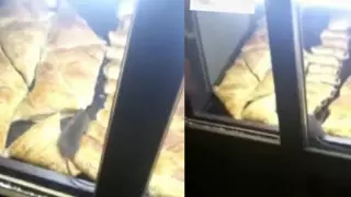 Алматыда самсаның үстінде жүрген егеуқұйрық видеоға түсірілді