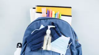 Павлодар облысында мектеп оқушылары қашықтан оқуға ауысады