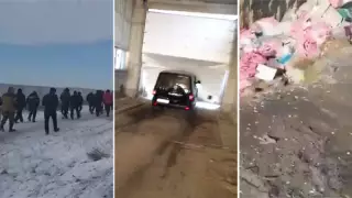 Шошқа фермасындағы дау: Экология министрлігі шешім шығарды