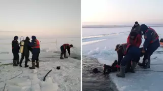 Қызылорда облысында көлден 4 адамның денесі табылды