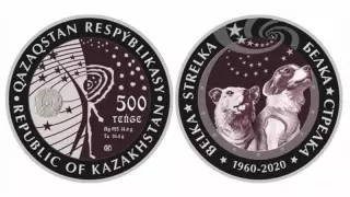 Темекі шегу туралы бейне