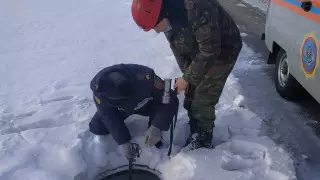 Өскеменде кәріз құдығына түсіп кеткен ит құтқарылды