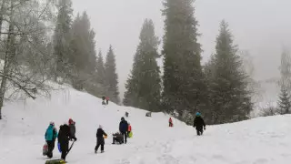 Алматы облысында 10 жастағы қыз сырғанақта қайтыс болды