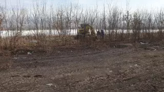 Алматыда жаңа сауда және ойын-сауық орталығын салу үшін ағаштар кесілді: ешкім жазаланбайтын болды